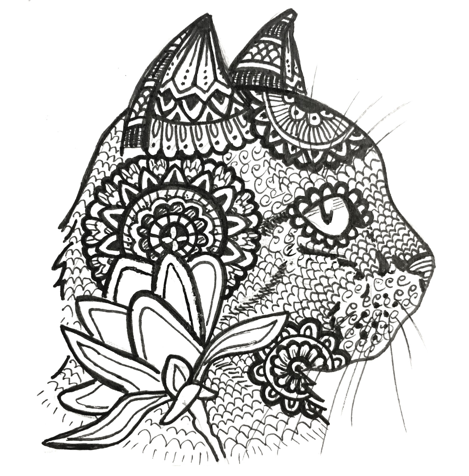 Cat Zentangle