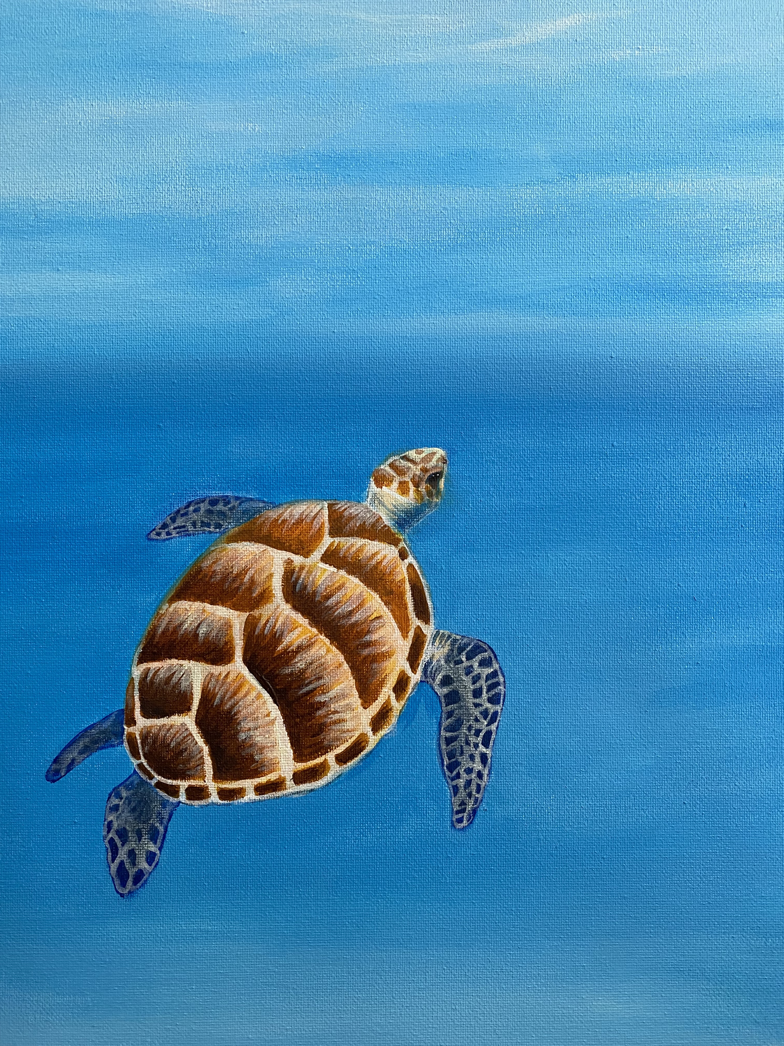 Sea Turtle in Acrylics